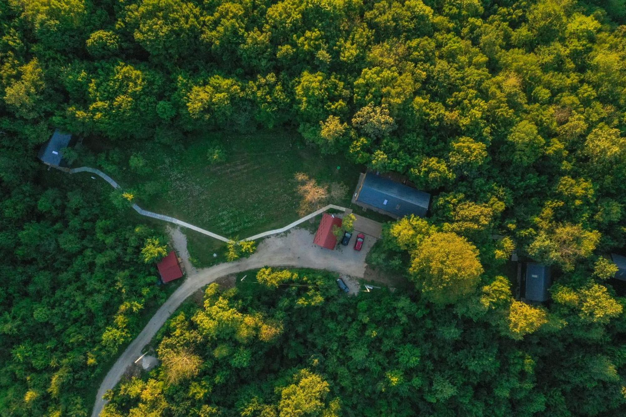 Tree Elements Treehouse Retreat Slunj Quarto foto