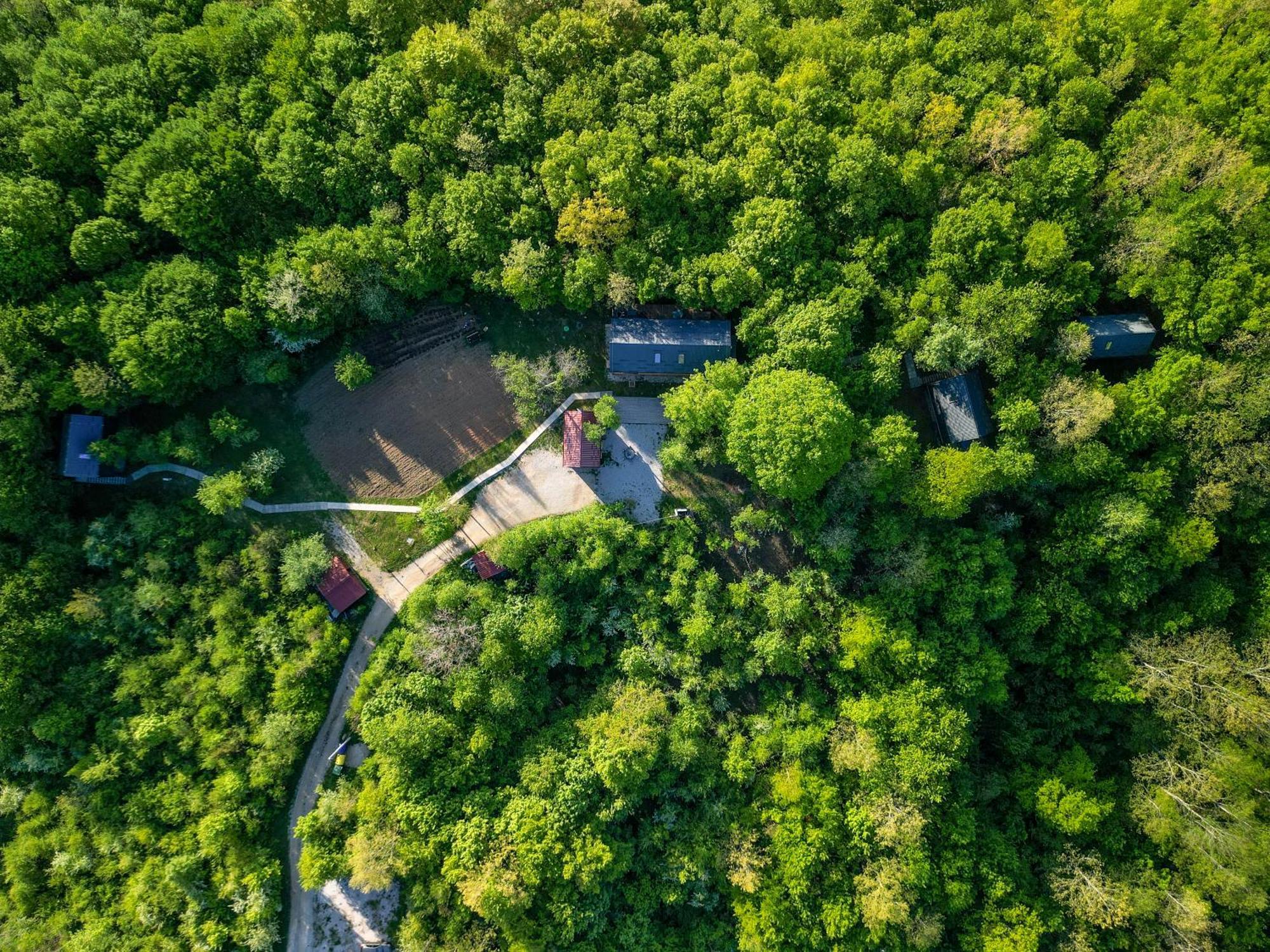 Tree Elements Treehouse Retreat Slunj Exterior foto